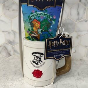 Harry Potter Hogwarts Letter Mug with Color Changing Hot Cocoa